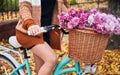 Female travelling by retro cycle with bouquet of chrysanthemum.