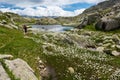 Female trekker walking along mountain lake. Royalty Free Stock Photo