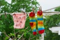 female underwear and socks air drying on the clothes line outside in the backyard