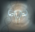 Female uterus abstract background Royalty Free Stock Photo