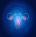Female uterus abstract blue technology background Royalty Free Stock Photo