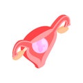 Female uterus isometric 3d icon