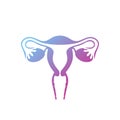 Female uterus with ovaries on a white background