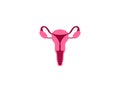 Female, uterus, womb icon. Vector illustration. Flat design