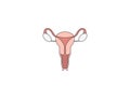 Female, uterus, womb icon. Vector illustration. Flat design