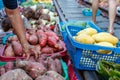 Female vendor checking sweet potatoes at a famous Maeklong railway market , Samut Songkhram province, Thailand