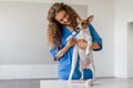 Female vet with curly hair bandaging a dog& x27;s paw Royalty Free Stock Photo