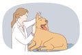 Female vet examine big dog in clinic