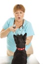 Female Vet Examines Dog Royalty Free Stock Photo