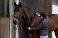 Female vet examining brown warmblood horse with stethoscope Royalty Free Stock Photo