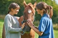 Female Vet Examining Horse In Field With Owner
