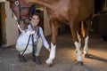 Female vet examining horse in stable Royalty Free Stock Photo