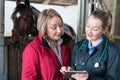 Female Vet Examining Horse In Stables Showing Owner Digital Tablet Royalty Free Stock Photo