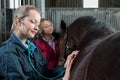 Female Vet Giving Medical Exam To Horse In Stable Royalty Free Stock Photo