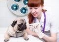 Female vet giving a pill to a obedient dog