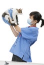 Female veterinarian holding up cat against white background