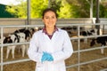 Female veterinarian standing near stall with calves Royalty Free Stock Photo