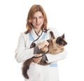 Female veterinary doctor