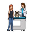 female veterinary with dog in the office vector illustration