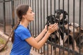 Female volunteer near dog cage at animal shelter Royalty Free Stock Photo