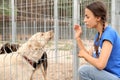 Female volunteer near dog cage at animal shelter Royalty Free Stock Photo