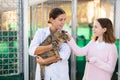 Female volunteer showing gray tabby cat to girl in outdoor shelter