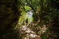 A Female Walking Through Dense Bush on the Paparoa Trail in New Zealand