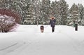 Female walking a dog