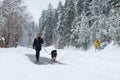 Female walking a dog