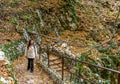 Female walking on a path covered in autumn dry and colorful leaves at Plitvice Lakes national park Royalty Free Stock Photo