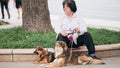 Female walking sitting outdoors with two dogs, people's life during pandemic in Shanghai Royalty Free Stock Photo