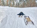 Female in a warm coat lying on the snow and holding a sled with high trees in the background