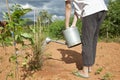 Female watering the plants