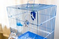 Female wavy parrot in a cage Royalty Free Stock Photo