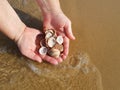 Summertime or vacation theme, female wet hands holding a bunch of seashells Royalty Free Stock Photo