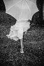 Female in a white dress holding a white umbrella in front of her while walking in the forest