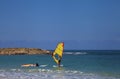 Female windsurfers in the sea