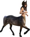 Female Woman Centaur Horse, Isolated