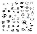 Female woman eyes and lips image collection set. Fashion girl eyes design. Vector illustration. Royalty Free Stock Photo