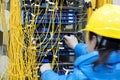 The female worker connects the network cable to the switch