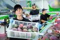 Female worker demonstrating boxes of mango Royalty Free Stock Photo