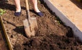 female worker digs soil with shovel in the vegetable and fruit garden, closeup. senior adult gardener woman cultivates