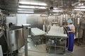 Female Worker at Industrial Food Factory Royalty Free Stock Photo