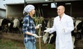 Female worker and mature veterinary in farm Royalty Free Stock Photo