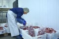 Female worker putting pieces of raw meat into vacuum bag. Packing shed of the slaughterhouse