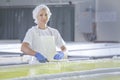 Female worker on white feta cheese production line in an industrial factory