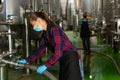 Female worker works at winery, filtering wine in barrels