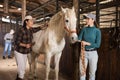 Female workers brushing after riding white racehorse in stable Royalty Free Stock Photo