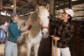 Female workers brushing after riding white racehorse in stable Royalty Free Stock Photo