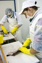 Female workers filleting fish Royalty Free Stock Photo